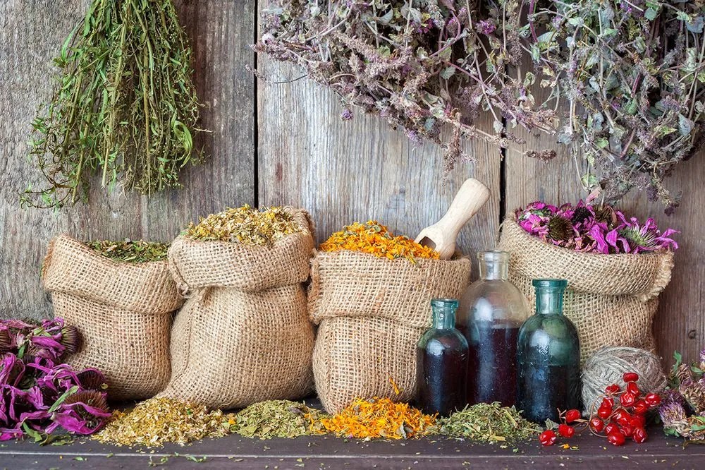 Carta da parati – Erbe medicinali