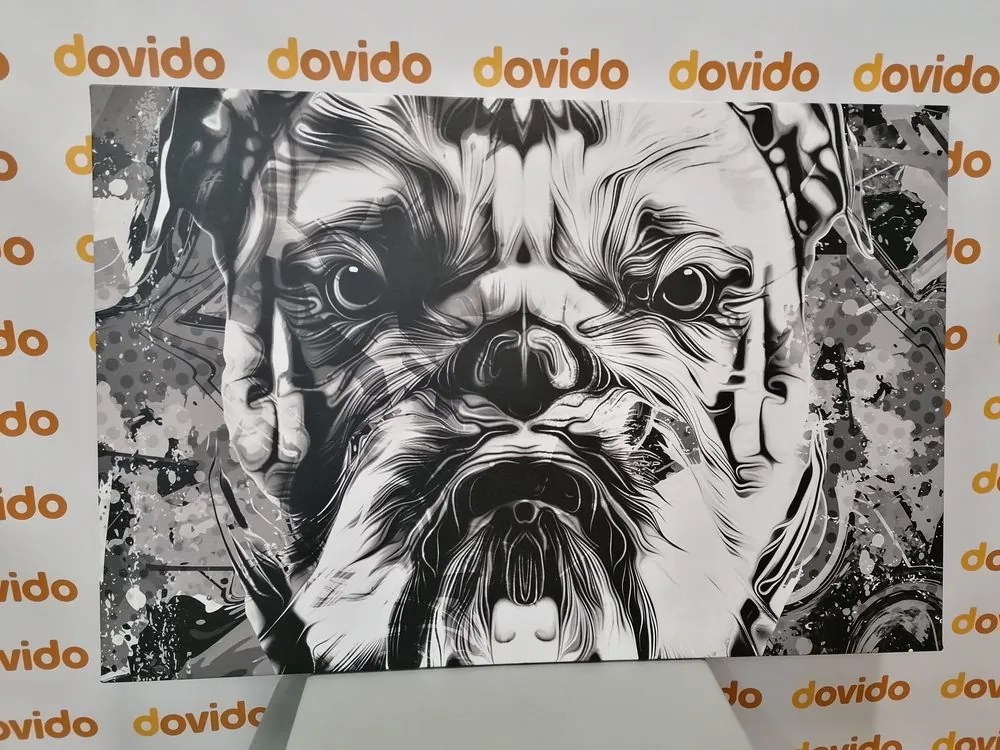 Stampa su tela – Bulldog in bianco e nero