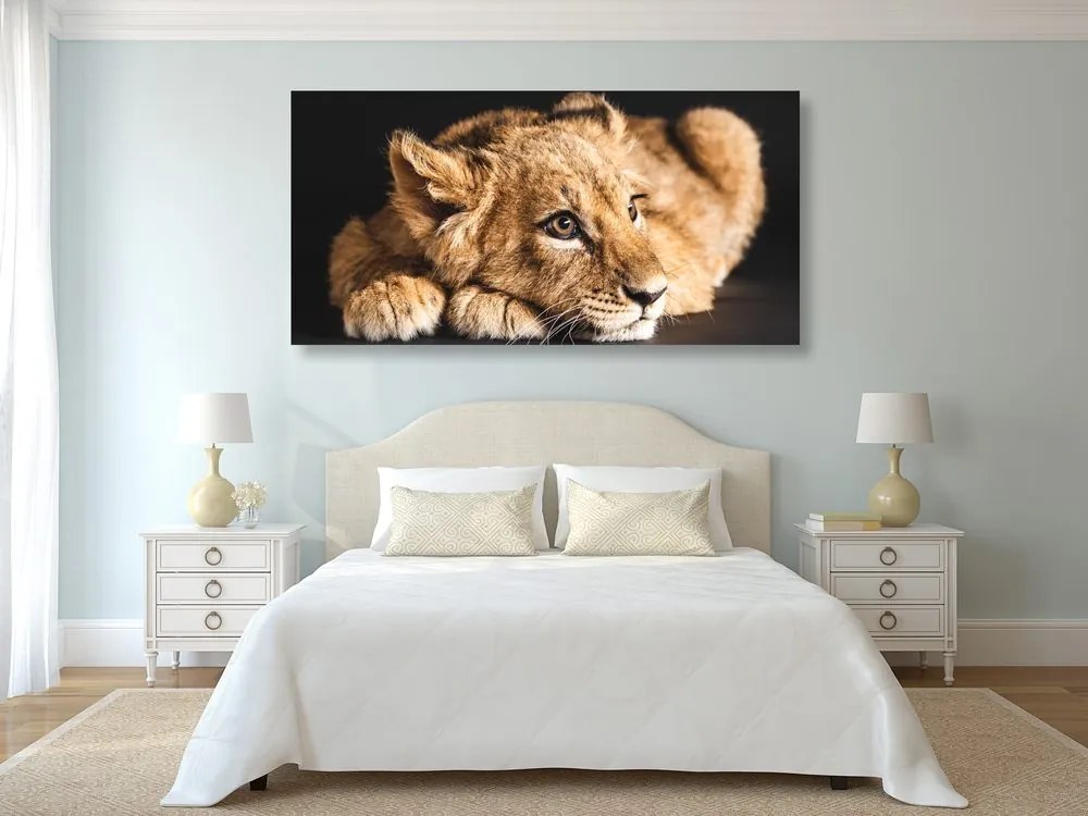 Quadro su tela – Cucciolo di leone