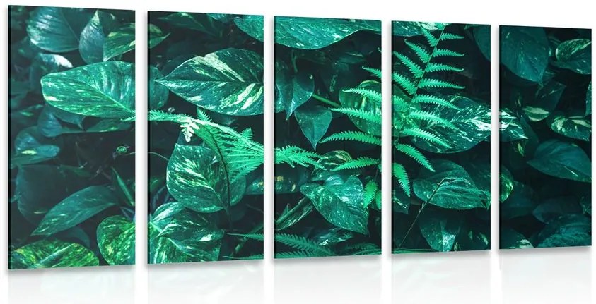 Quadri 5 pezzi – Foglie tropicali fresche