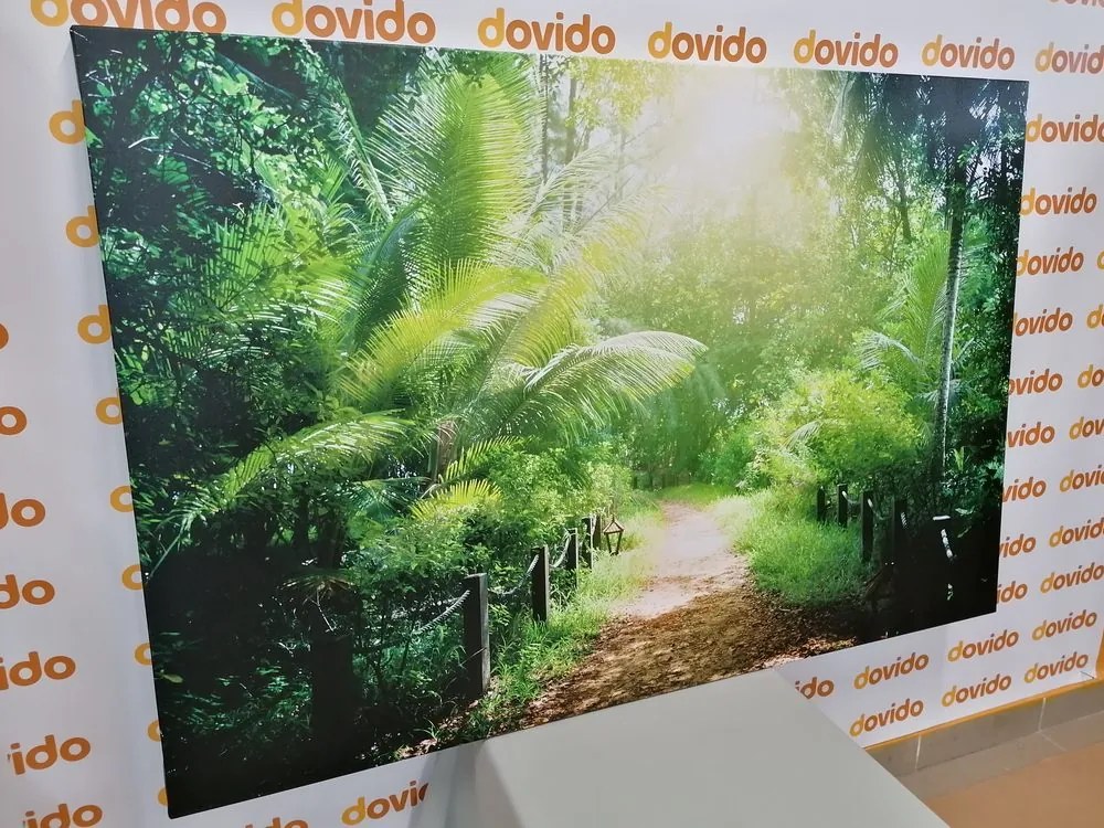 Stampa su tela – Sentiero sull'isola di Seychelles