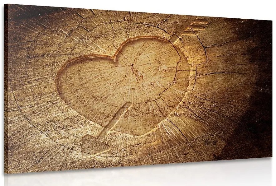 Stampa su tela – Cuore intagliato su tronco