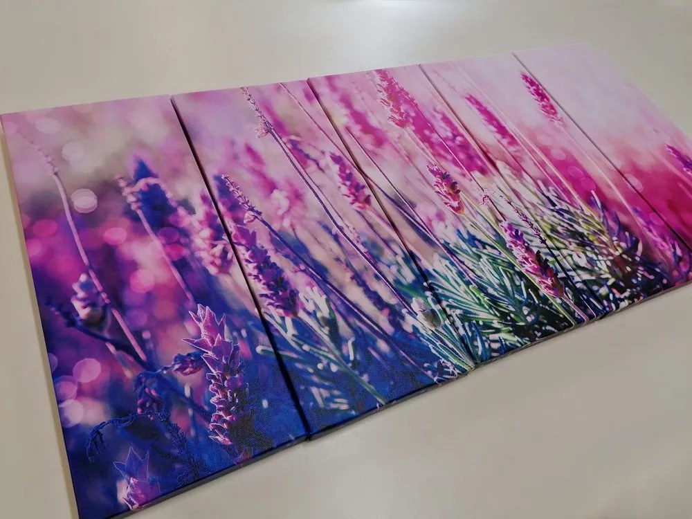 Quadri 5 pezzi – Fiori di lavanda magici