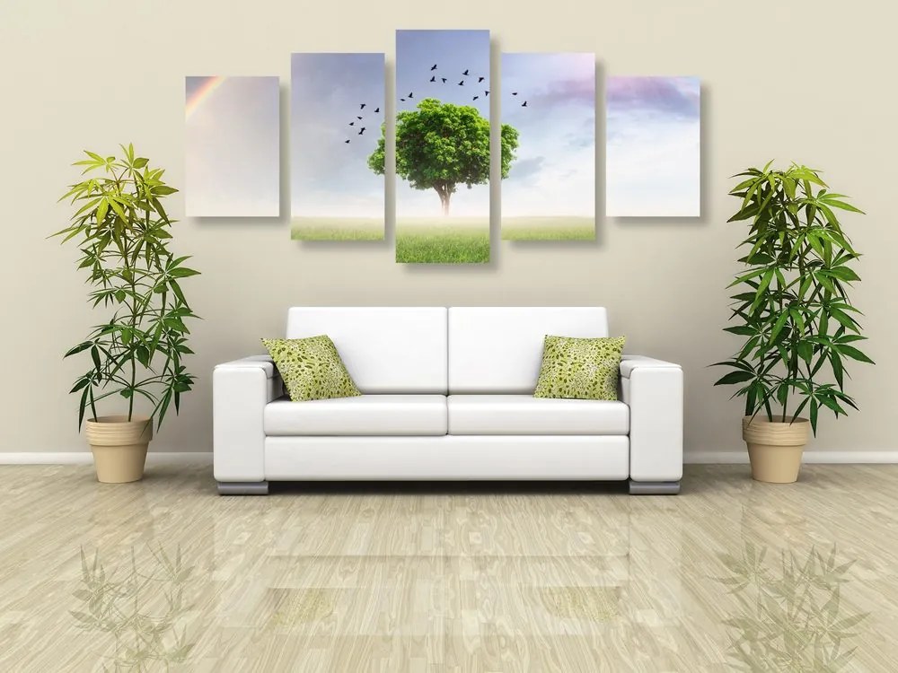Quadri 5 pezzi – Albero solitario nel prato