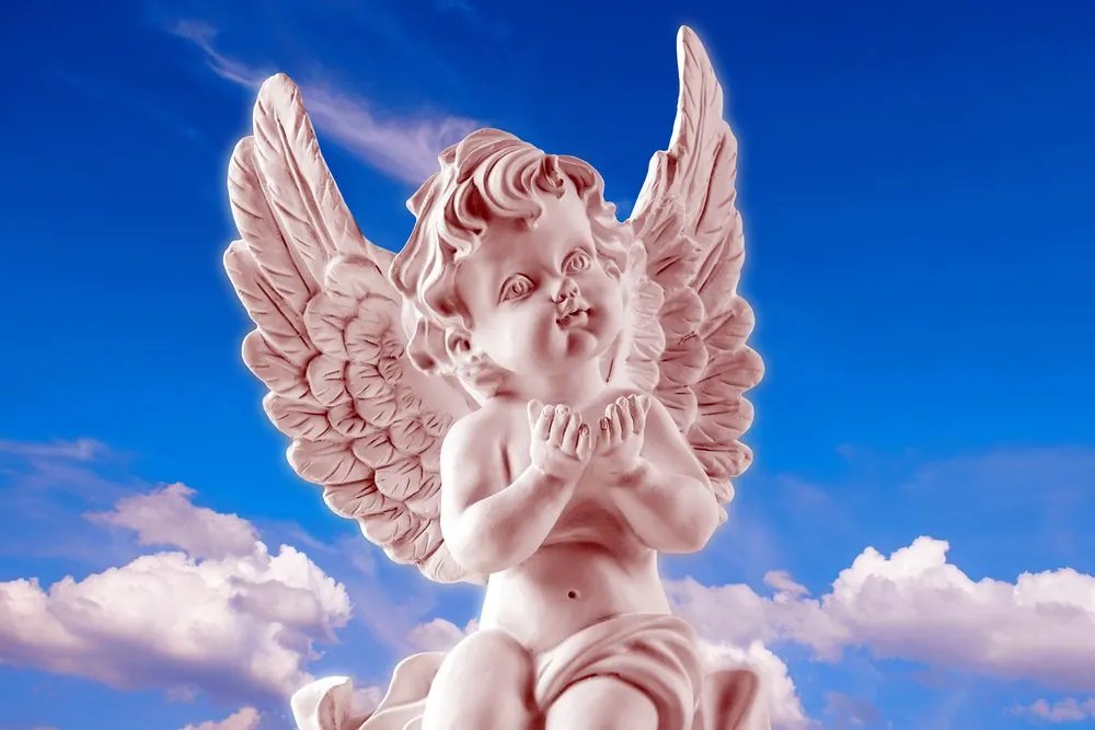 Quadro su tela – Angioletto attento rosa nel cielo