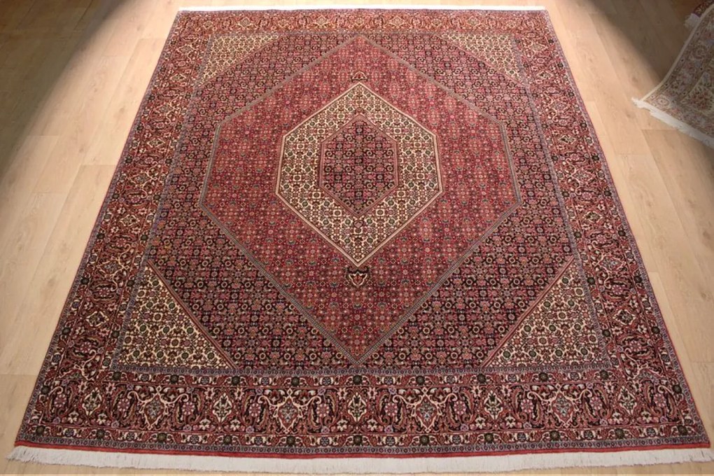 Bidjar Tappeto persiano 300x250 (Iran) Annodato A Mano