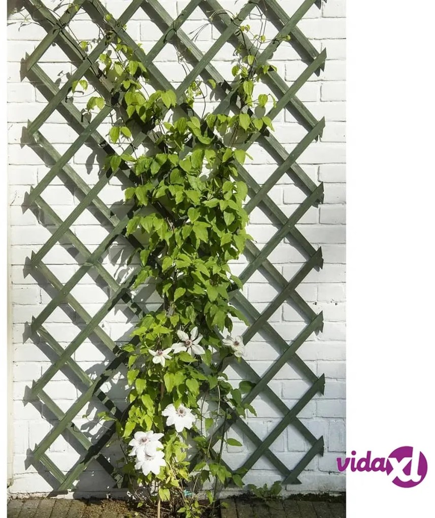 Nature Traliccio da Giardino 50x150 cm in Legno Verde