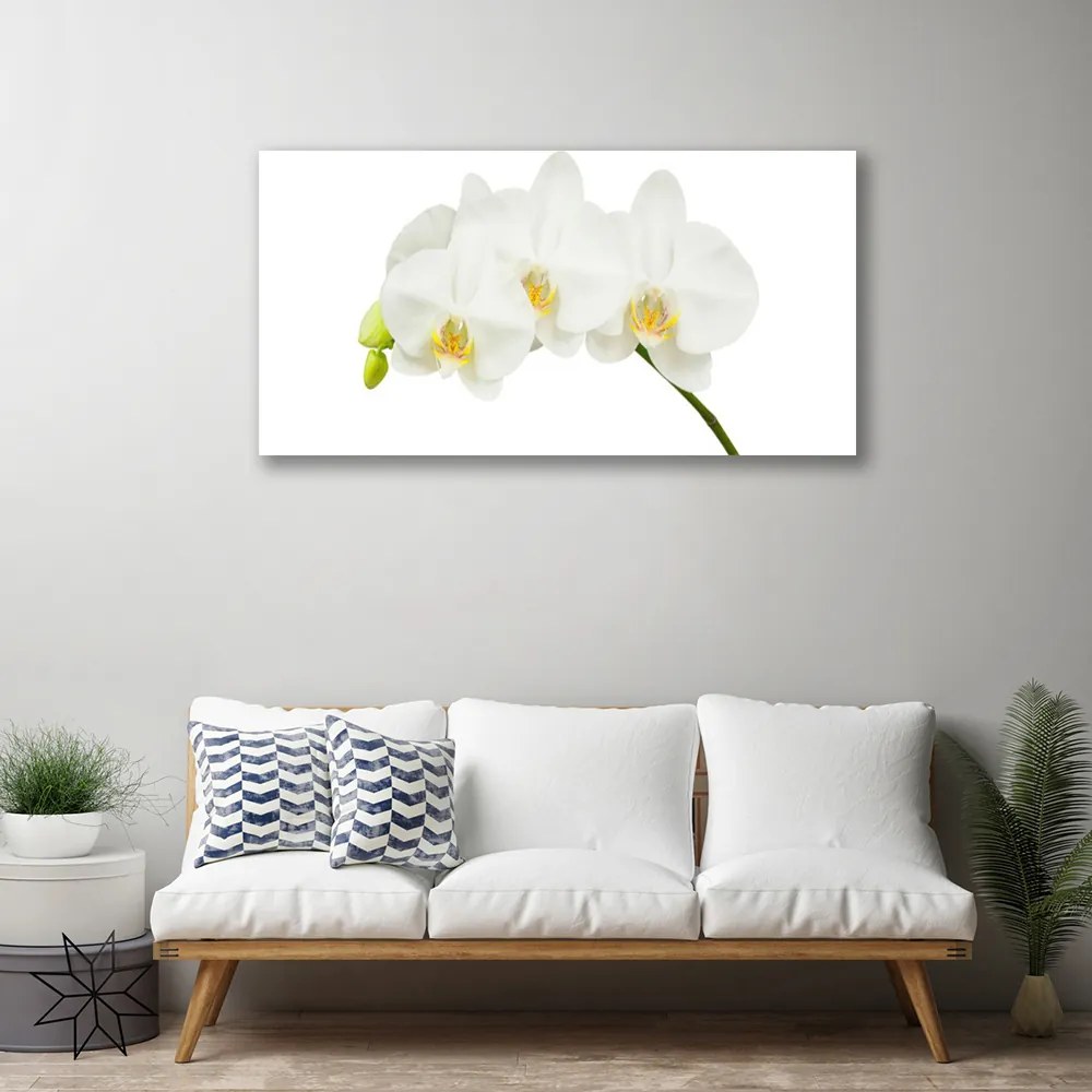 Stampa quadro su tela Gambi di orchidea Fiori Natura 100x50 cm