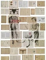 Tapete EKA-04 Bibliotheca von Ekaterina Panikanova