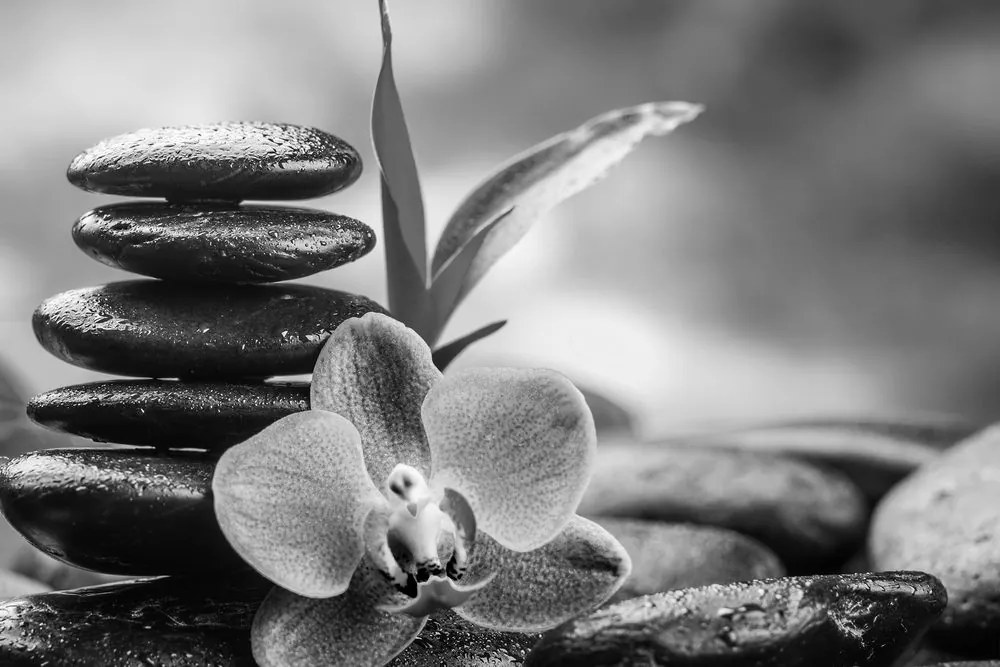 Stampa su tela – Composizione Zen meditativa in bianco e nero