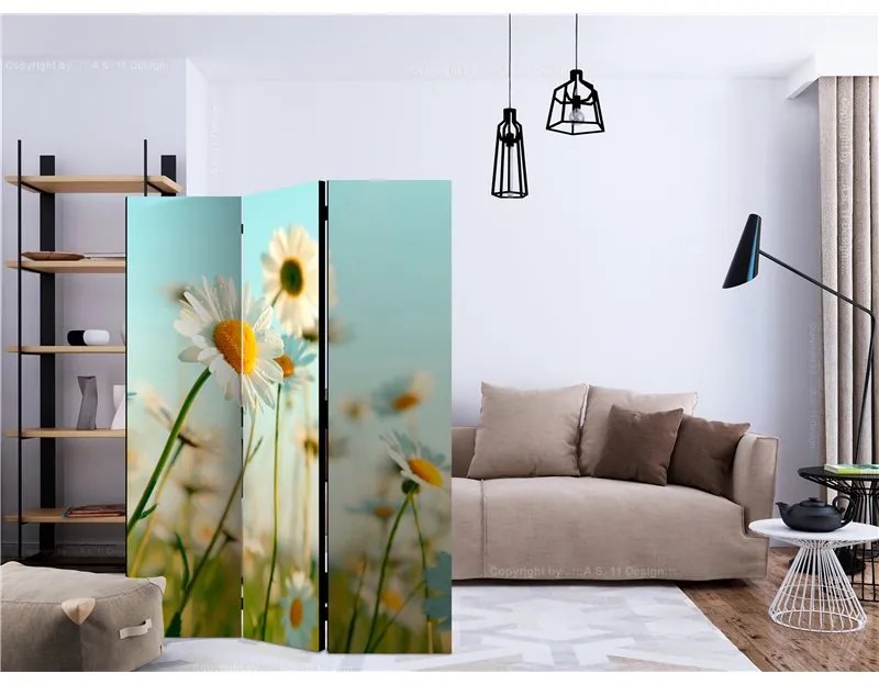 Paravento  Daisies  spring meadow [Room Dividers]  Colore ---, Dimensioni e Misure 135x172