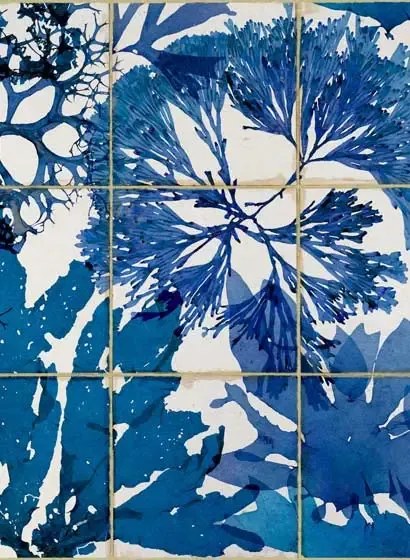 Mindthegap Carta da parati Algae in Blue - WP20179
