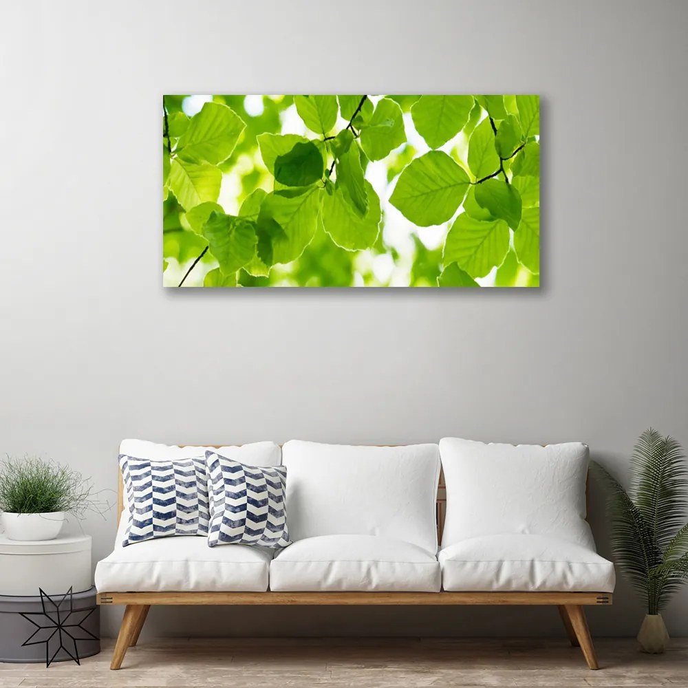 Quadro su tela Foglie di piante naturali 100x50 cm