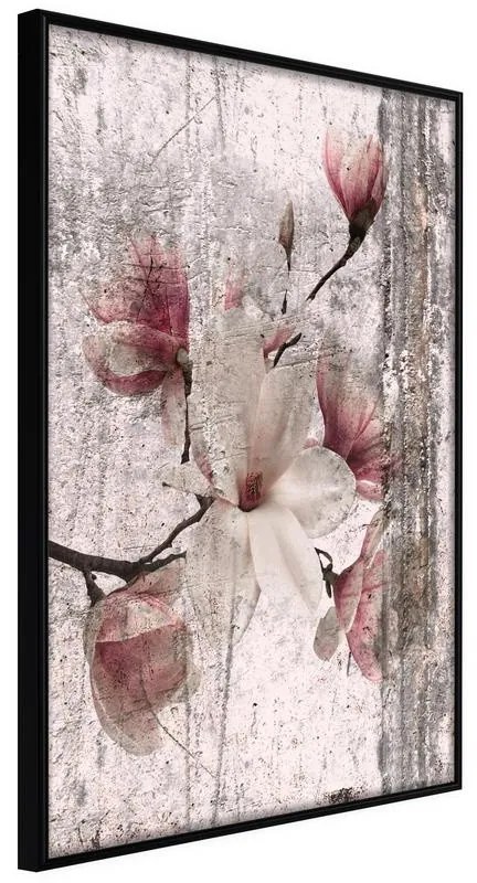 Poster  Queen of Spring Flowers I  Cornice Quadri Cornice nera, Larghezza x Altezza Home decor 30x45