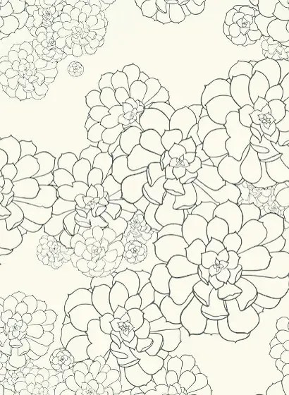 Paint & Paper Library Carta da parati Aeonium - Clean White