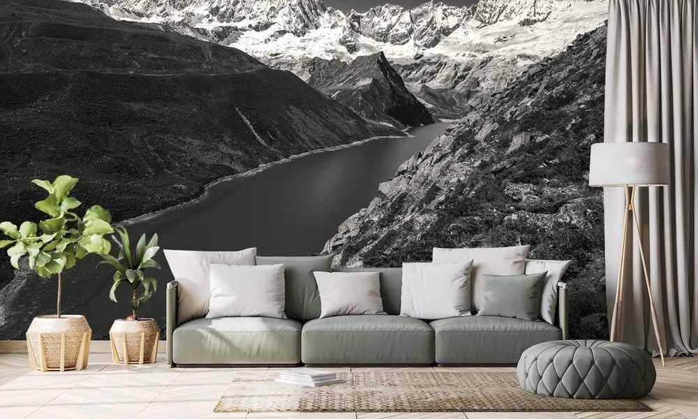 Fotomurale – Parco Patagonia in Argentina in bianco e nero