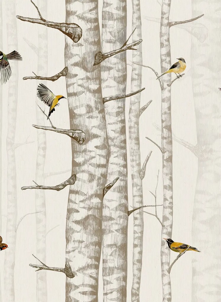 Coordonne Carta da parati Birch Trees - Beige