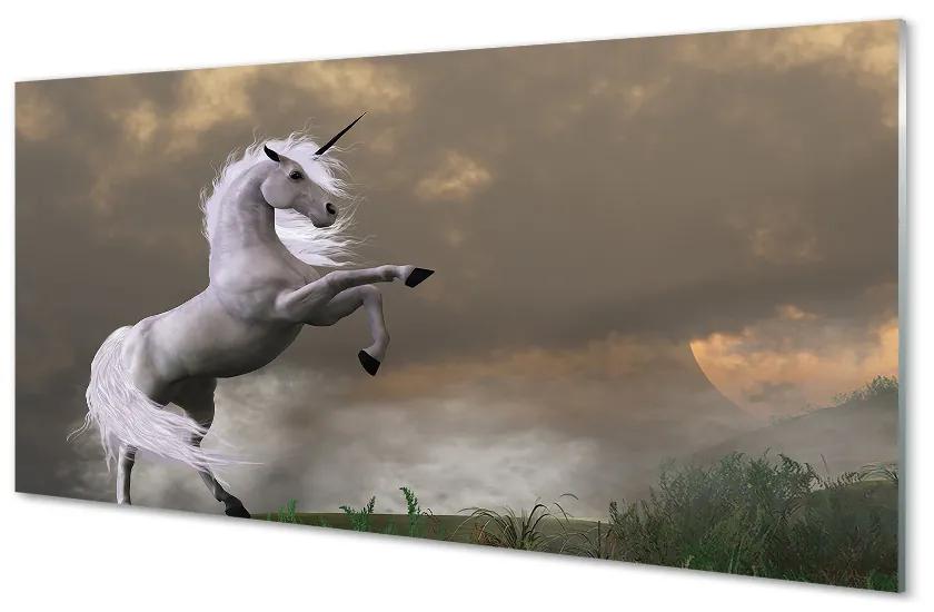 Quadro su vetro acrilico Montagna unicorn 100x50 cm
