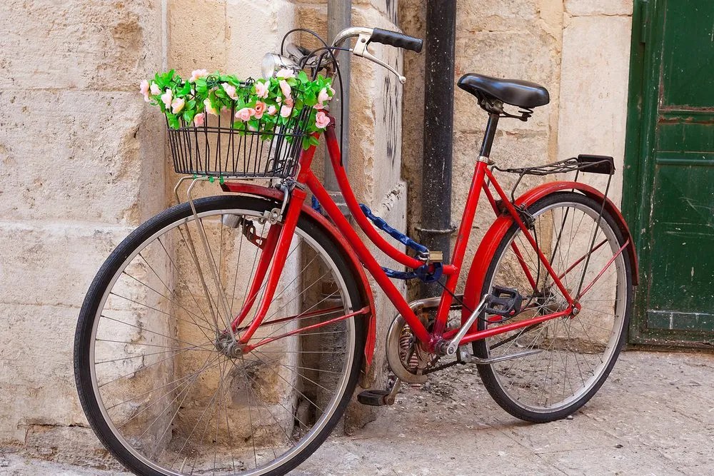 Stampa su tela – Bicicletta rustica