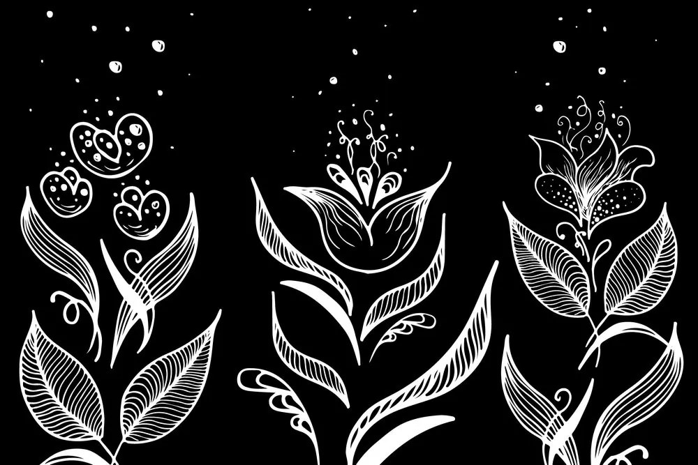 Carta da parati – Motivi popolari in bianco e nero