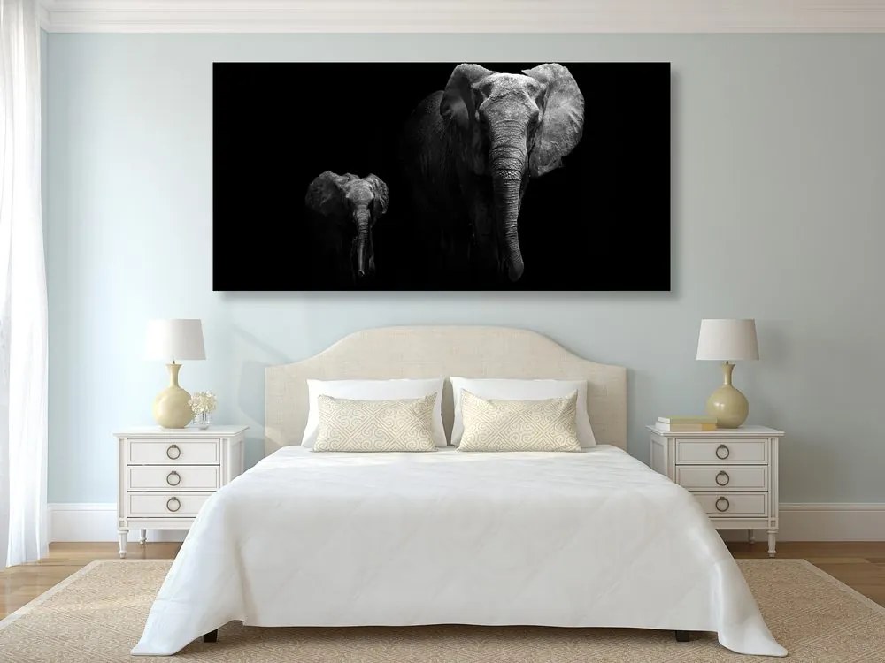 Quadro su tela – Piccolo elefante e elefantessa