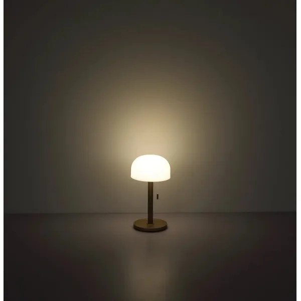 Globo 21016CH - Lampada da tavolo LED NORMAN LED/1,5W/3,7V 3000/4200/6000K marrone