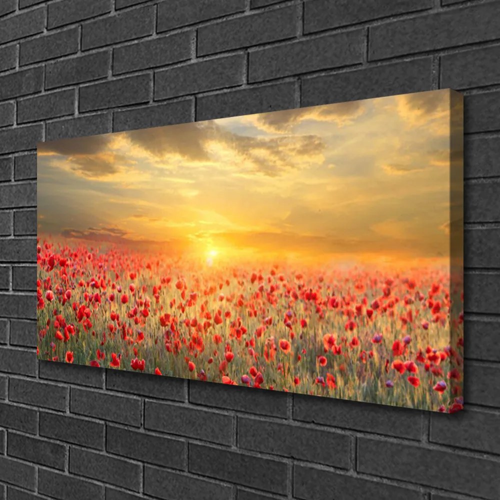 Quadro su tela Fiori di papavero del prato del sole 100x50 cm