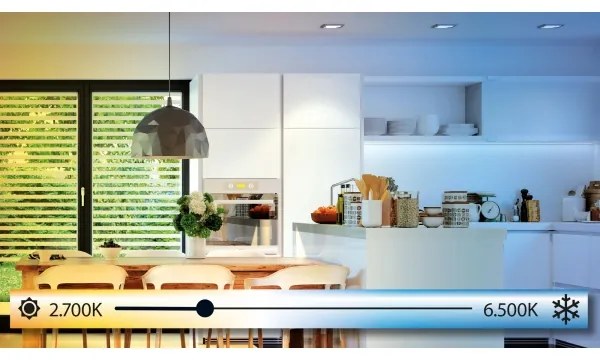 Eglo 98205 - Pannello LED dimmerabile SALOBRENA-A LED/30W/230V + telecomando