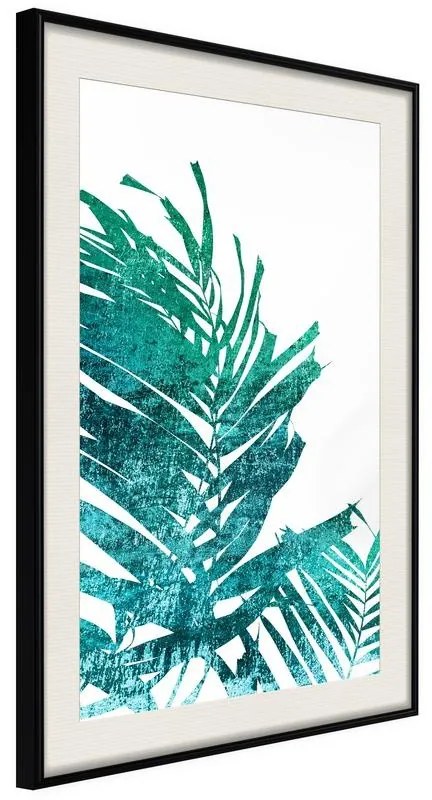 Poster  Teal Palm on White Background  Cornice Quadri Cornice nera con pass-partout, Larghezza x Altezza Home decor 20x30