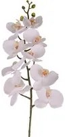 Set 2 Phalenopsis Artificiali con 9 Fiori Altezza 110 cm Bianco