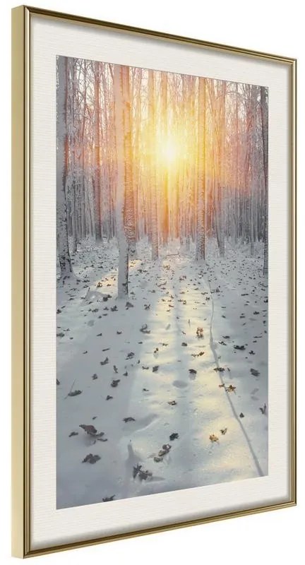 Poster  Frosty Sunset  Cornice Quadri Cornice d'oro con passe-partout, Larghezza x Altezza Home decor 20x30