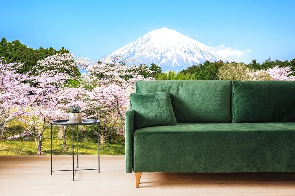 Carta da parati – Vulcano Fuji