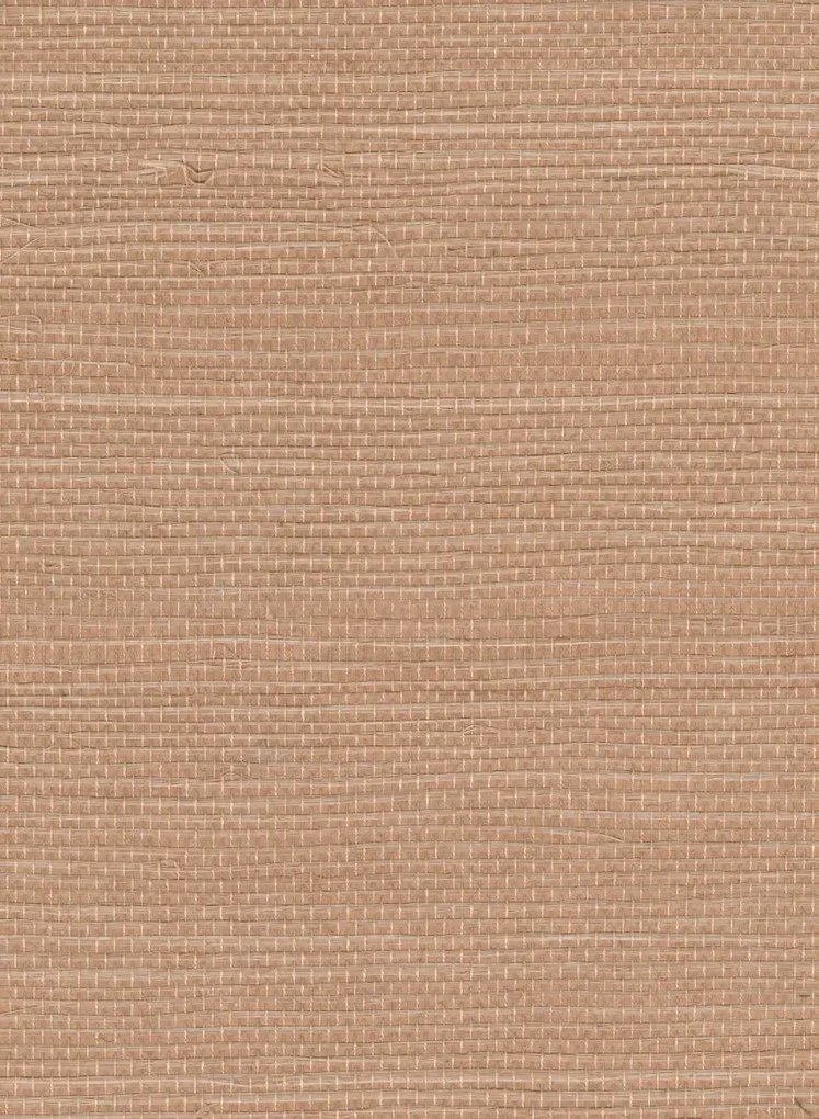 Élitis Tapete Sisal - RM 1069 51