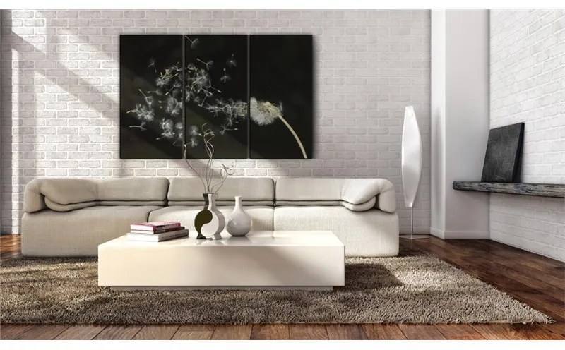 Quadro Soffioni effimeri  Colore bianco e nero, Dimensioni e Misure 60x40