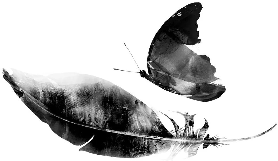 Carta da parati – Piuma con farfalla in bianco e nero