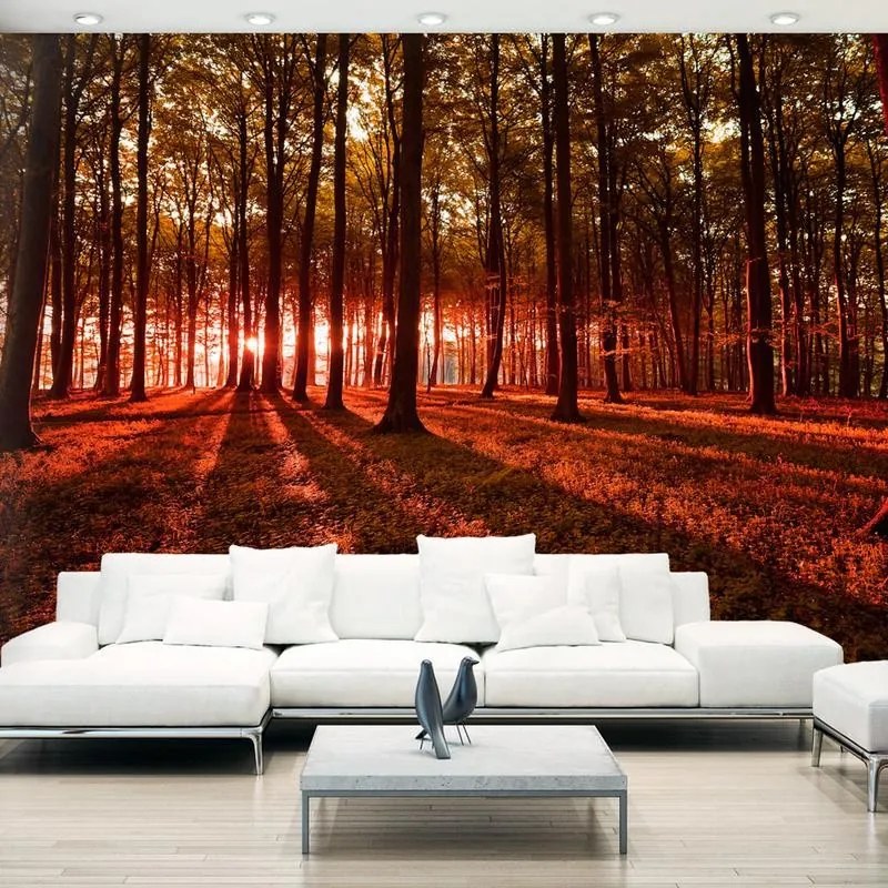 Fotomurale adesivo  Autumn Morning  Larghezza x Altezza Home decor 245x175