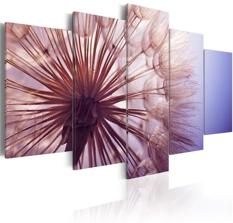 Quadro Purple Glare  Colore Rosa, Dimensioni e Misure 100x50