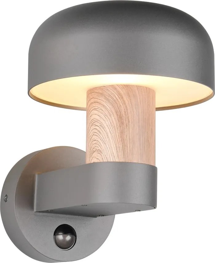 Illuminazione esterna con sensore di movimento da parete (altezza totale 24,5 cm) Fraser – Trio