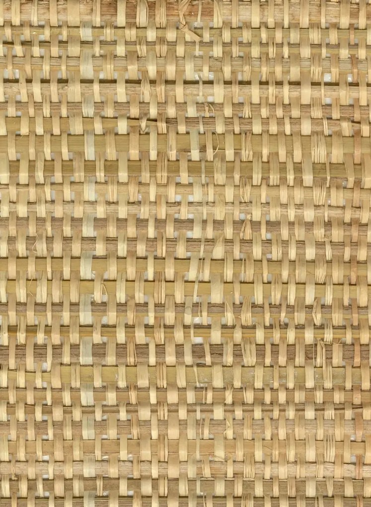 CMO Paris Tapete Papyrus Brut - Naturel