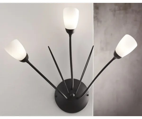 Jupiter 2059 - Lampada da parete GLORIOSA 3xG9/14W/230V nera