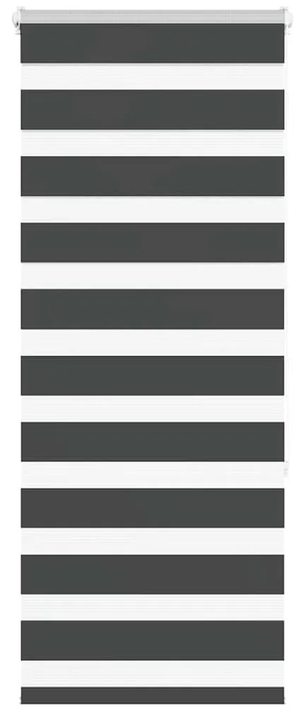 Tenda A Rullo Zebra Nero Larghezza Tessuto 55,9 Cm Poliestere /