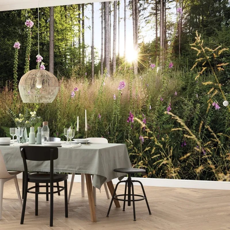 Fotomurale KOMAR Summer glade, Multicolore 350X250 cm