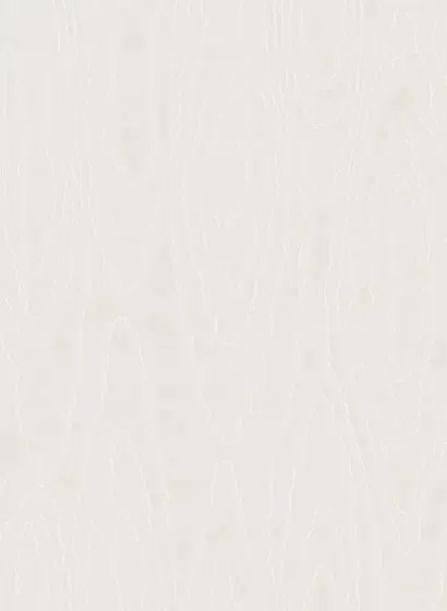 Cole & Son Carta da parati Watered Silk - Silver