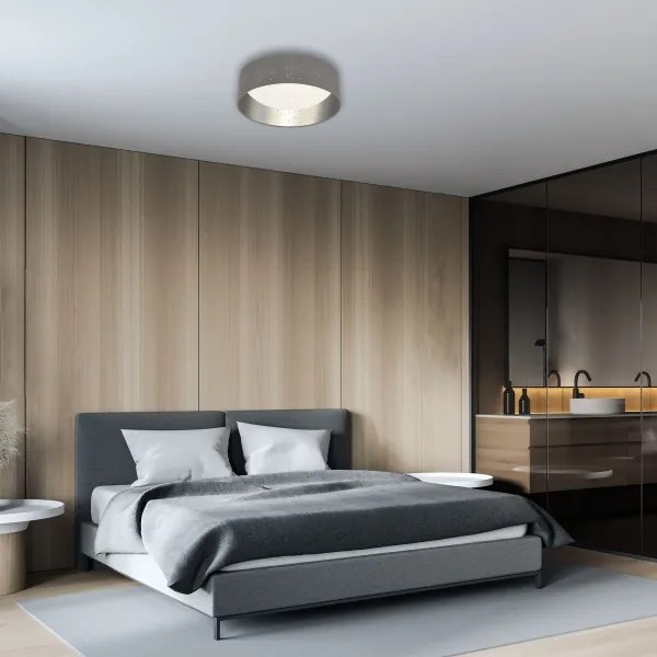 Briloner 3482014 - Lampada LED da soffitto STARRY LED/12W/230V grigio/argento