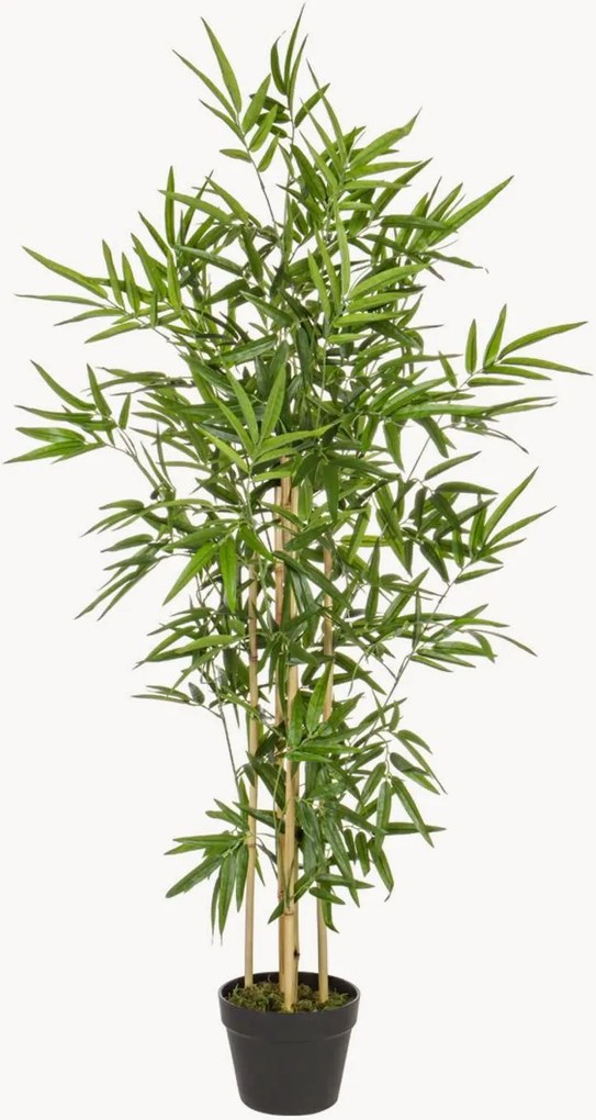 Set di 2 piante artificiali Bamboo I