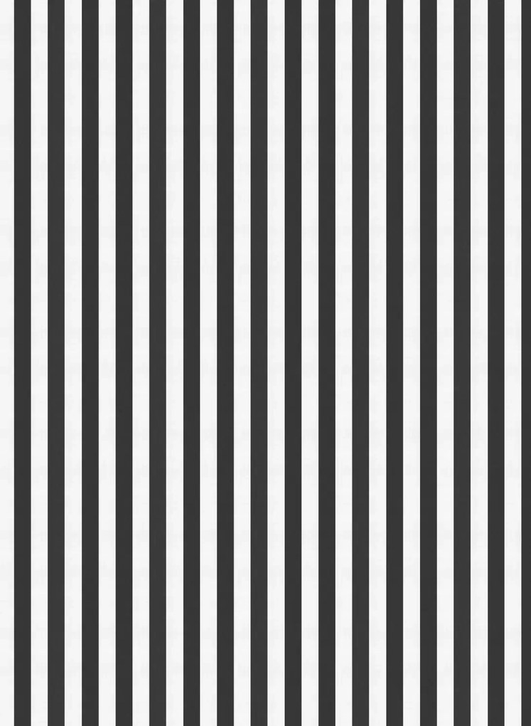 Coordonne Carta da parati Stripe 8 - Tinta