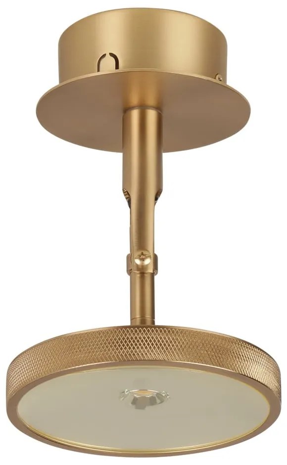 Faretto LED in oro ø 12 cm Asteria Spot - UMAGE