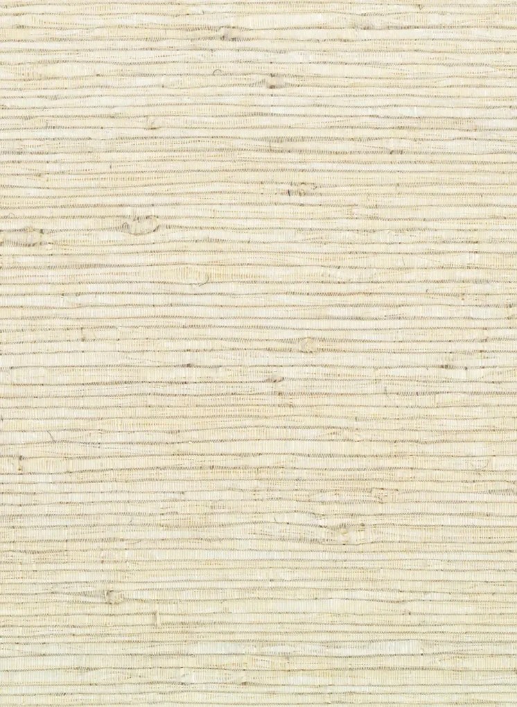 Élitis Carta da parati Elégante - RM 1011 01