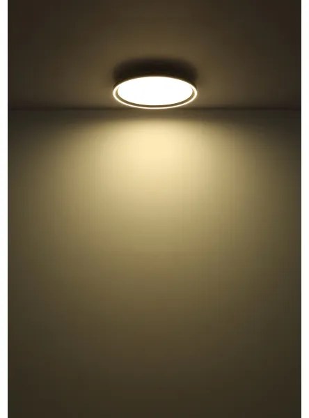 Globo 48802-48 - Plafoniera LED dimmerabile DUBLIN LED/48W/230V + +TC