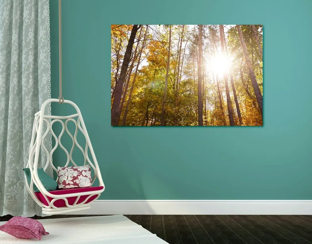 Quadro su tela – Foresta nei colori autunnali